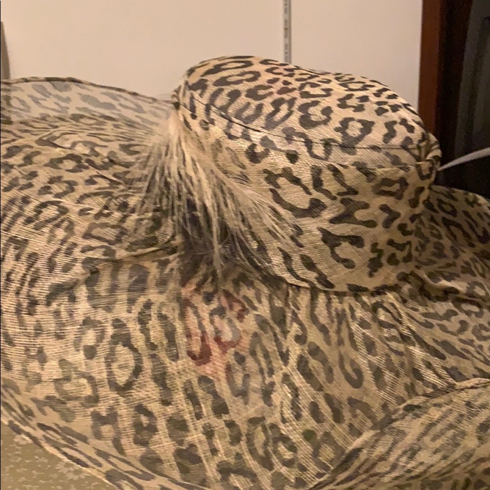Hat - Picture 2 of 3